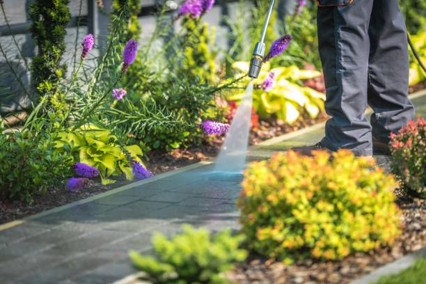 Best Parking Lot Cleaning in Buckner, MO